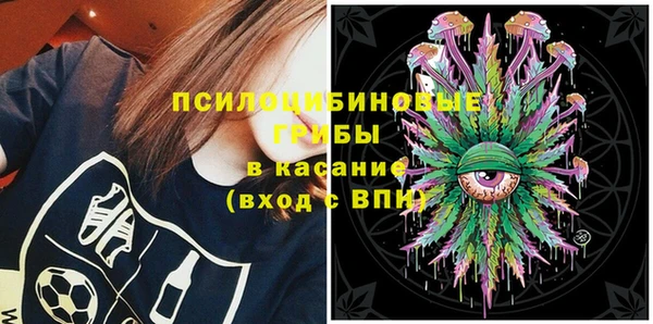 дживик Богданович