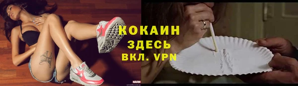 дживик Богданович