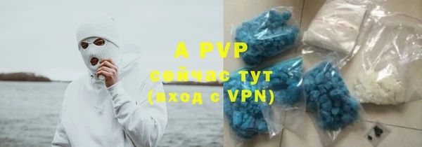 дживик Богданович
