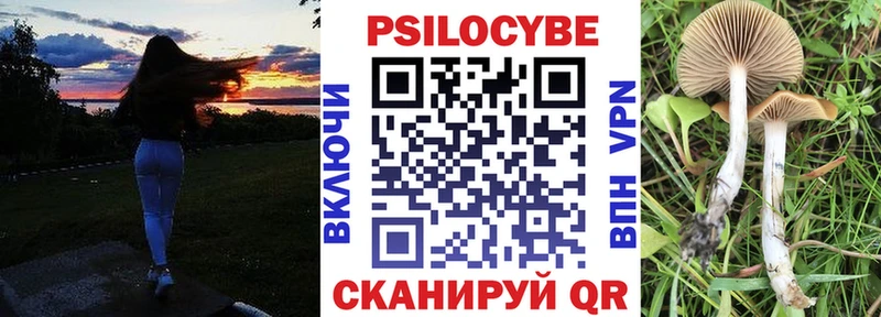 darknet телеграм  hydra маркетплейс  Солигалич  Псилоцибиновые грибы ЛСД 